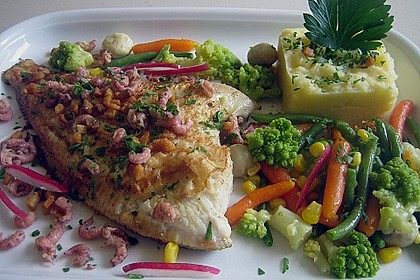 Holsteiner Scholle 1