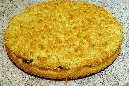 Apfel - Zimt - Krümelkuchen 9
