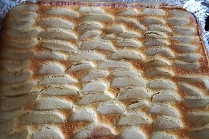 Apfelkuchen schnell und fein 83