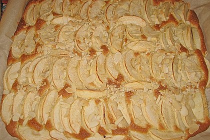 Apfelkuchen schnell und fein 134