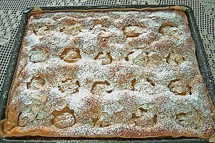 Apfelkuchen schnell und fein 116