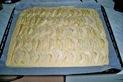 Apfelkuchen schnell und fein 161
