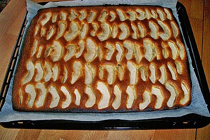 Apfelkuchen schnell und fein 155