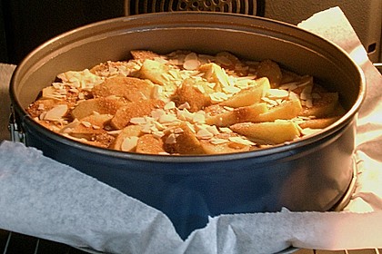 Apfelkuchen schnell und fein 113