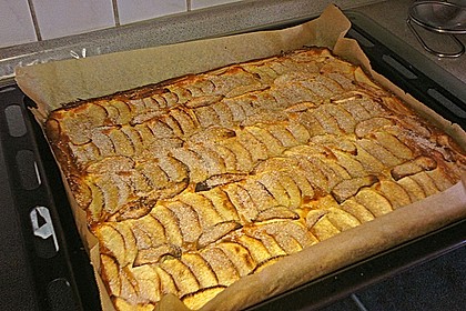 Apfelkuchen schnell und fein 114