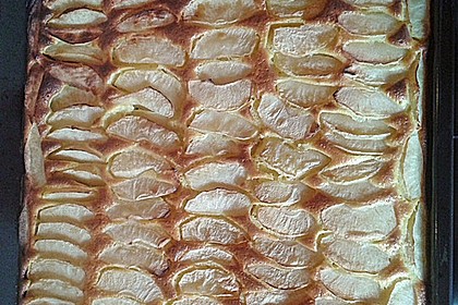Apfelkuchen schnell und fein 115