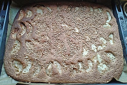 Apfelkuchen schnell und fein 169