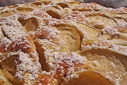 Apfelkuchen schnell und fein 26