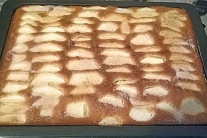 Apfelkuchen schnell und fein 164