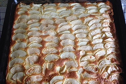 Apfelkuchen schnell und fein 167