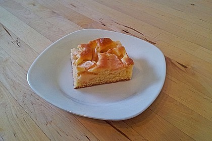 Apfelkuchen schnell und fein 58