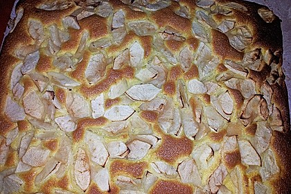 Apfelkuchen schnell und fein 163