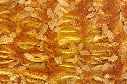 Apfelkuchen schnell und fein 103