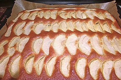 Apfelkuchen schnell und fein 139
