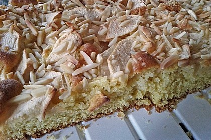 Apfelkuchen schnell und fein 157