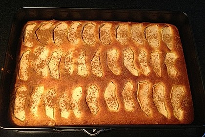 Apfelkuchen schnell und fein 166