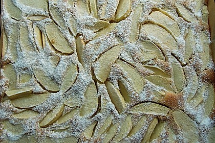 Apfelkuchen schnell und fein 65