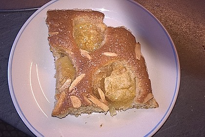 Apfelkuchen schnell und fein 110