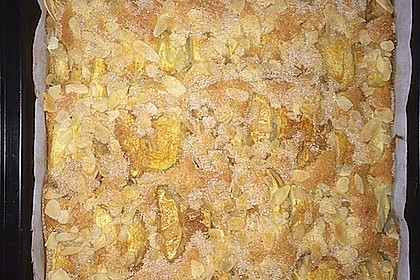 Apfelkuchen schnell und fein 105