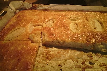 Apfelkuchen schnell und fein 124