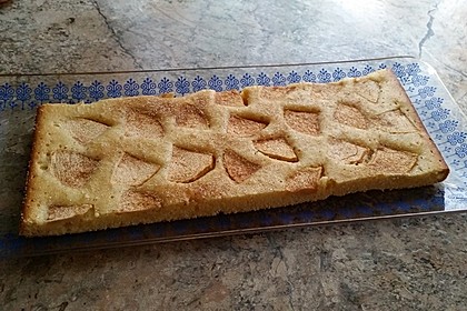Apfelkuchen schnell und fein 158