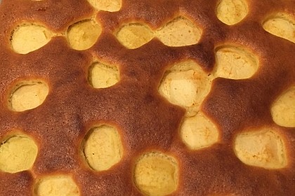 Apfelkuchen schnell und fein 144