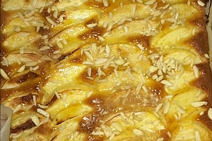 Apfelkuchen schnell und fein 93