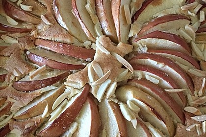 Apfelkuchen schnell und fein 63