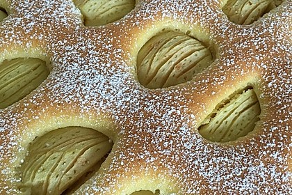 Apfelkuchen schnell und fein 8
