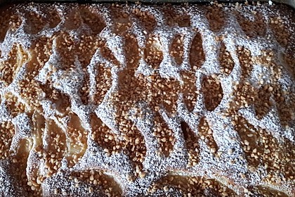 Apfelkuchen schnell und fein 132