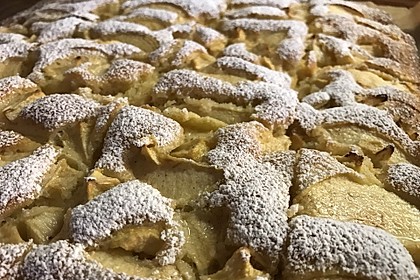 Apfelkuchen schnell und fein 19