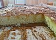 Zitronenkuchen vom Blech