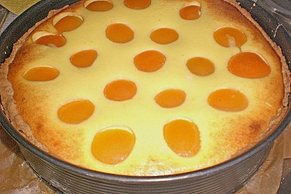 Aprikosen - K&auml;sekuchen 18
