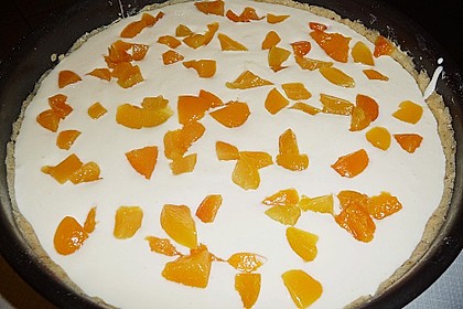 Aprikosen - K&auml;sekuchen 20