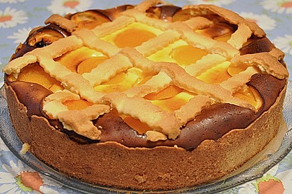 Aprikosen - K&auml;sekuchen 23