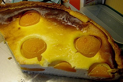 Aprikosen - K&auml;sekuchen 27