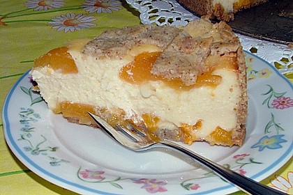 Aprikosen - K&auml;sekuchen 8