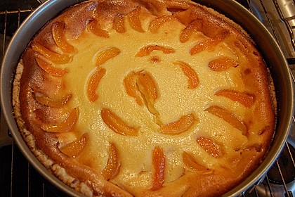 Aprikosen - K&auml;sekuchen 31