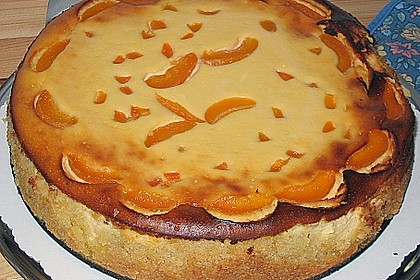 Aprikosen - K&auml;sekuchen 11
