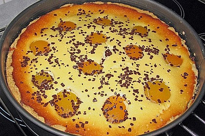 Aprikosen - K&auml;sekuchen 12