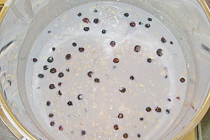 Beeriges Porridge