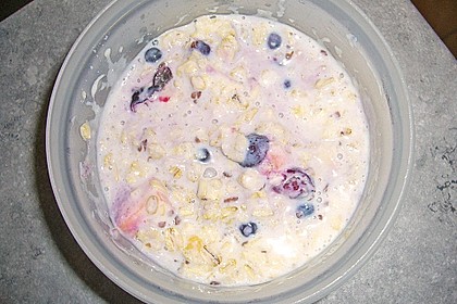 Beeriges Porridge 8