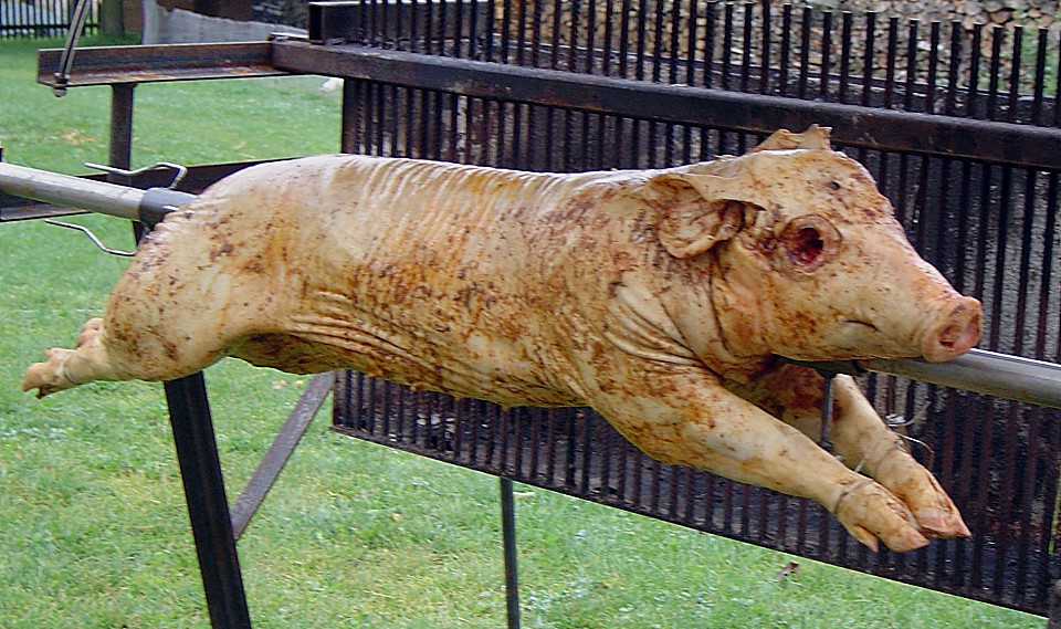 Spanferkel vom Grill (Rezept mit Bild) von berkno | Chefkoch.de