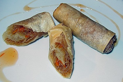 Frühlingsrollen 2