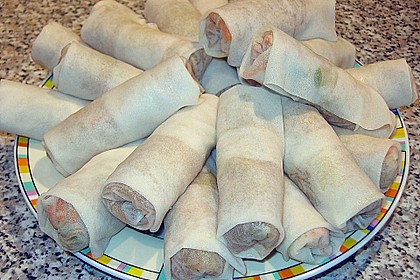 Frühlingsrollen 6