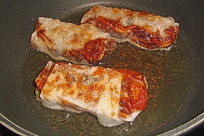 Frühlingsrollen 7