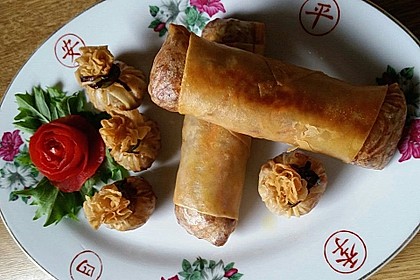 Frühlingsrollen 1