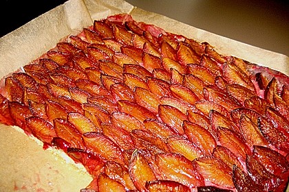 Pflaumenkuchen vom Blech 5