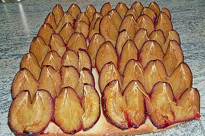 Pflaumenkuchen vom Blech 6