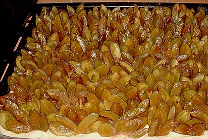 Pflaumenkuchen vom Blech 7